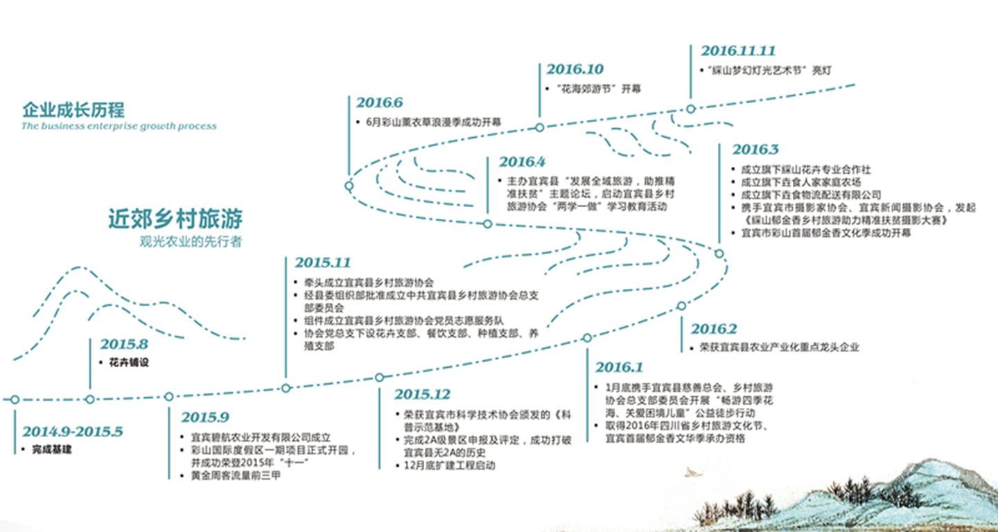 发展历程(图1)