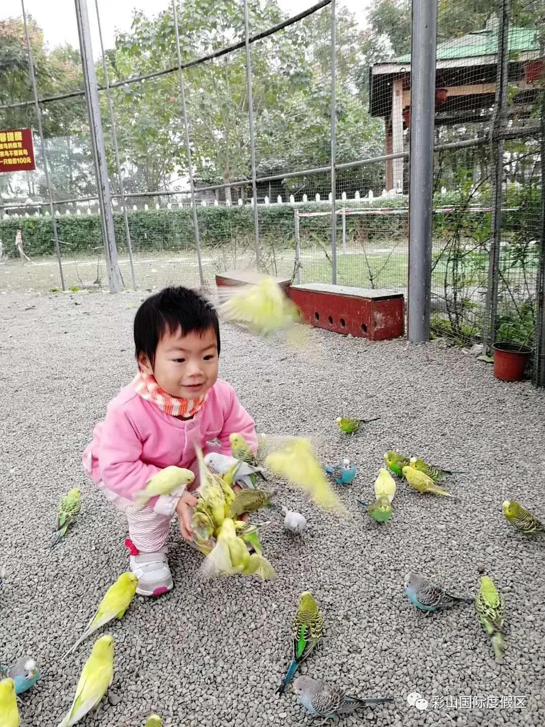 萌宠乐园(图1)