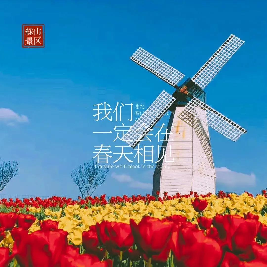 zhuan发送福利｜等不及了，彩山3.8女神节活动大剧透...(图10)