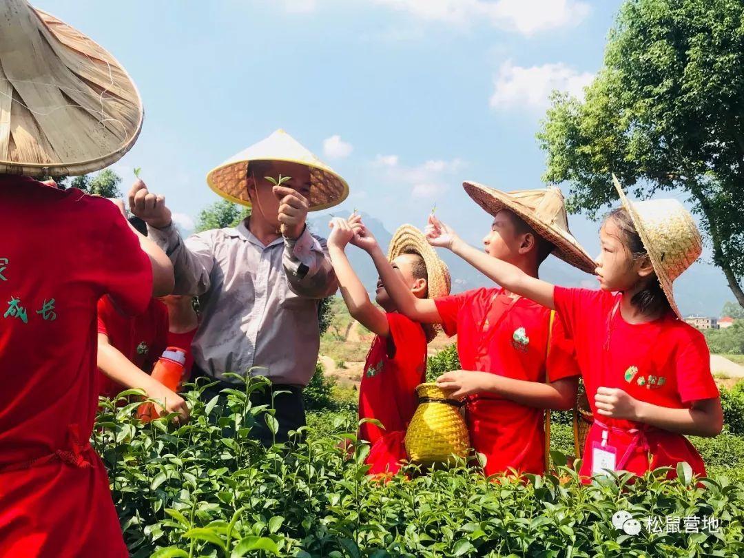 zhuan发赢福利|“綵山·沸腾小镇”3月15日正式开工(图13)
